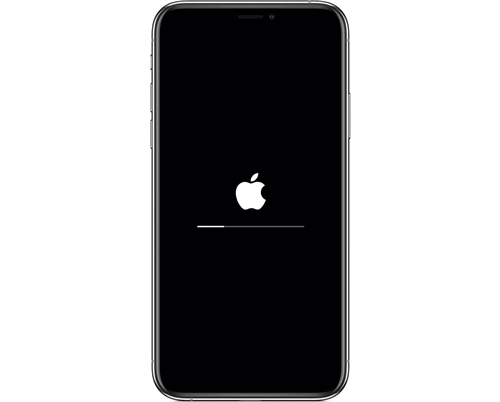 Apple Logo Flashing