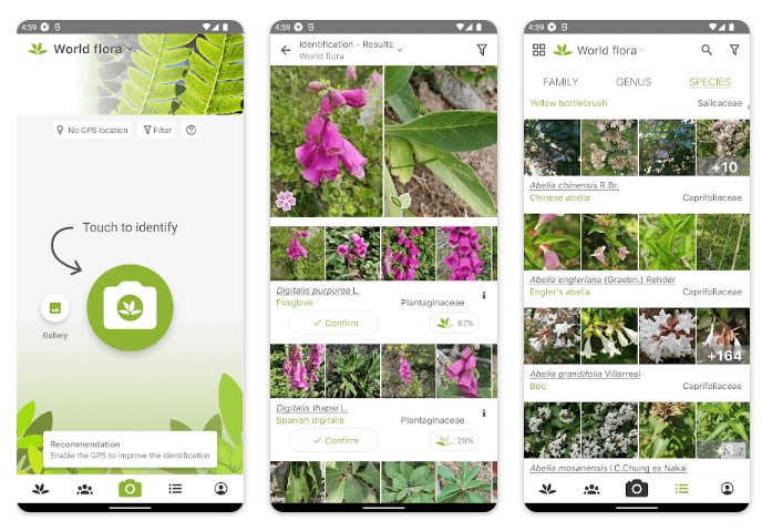 PlantNet Plant Identification