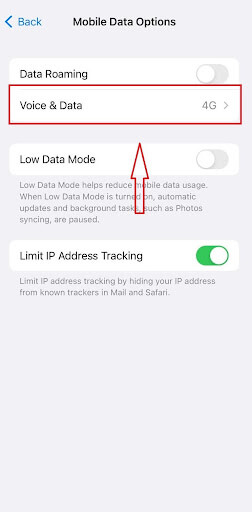 Voice & Data