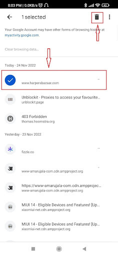 Remove Browsing History