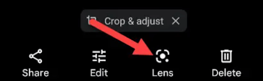 Lens icon