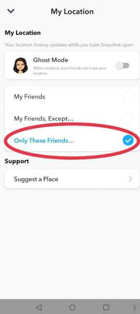 only-these-friends