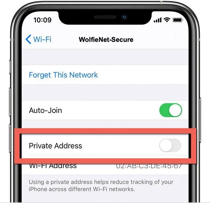 Private Wi-Fi Address