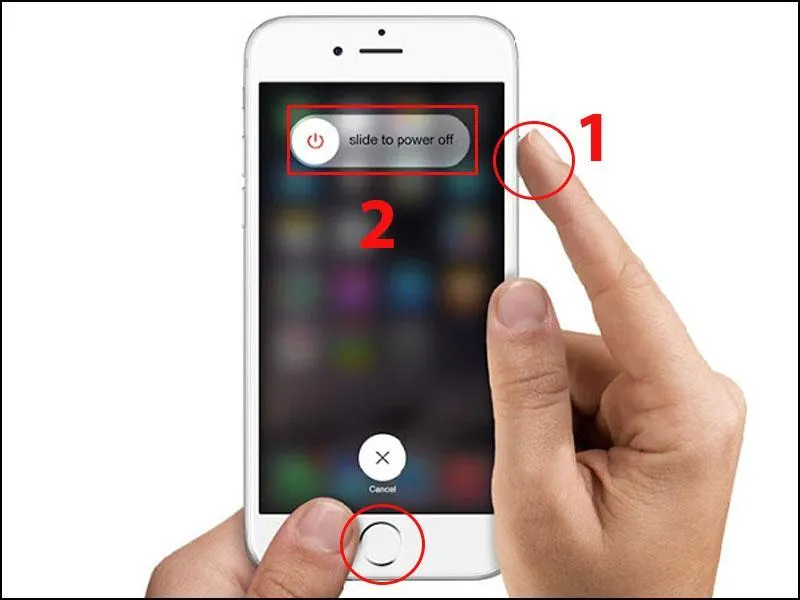 iPhone with a home button