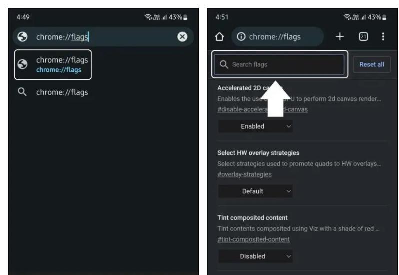 Google Chrome's Incognito