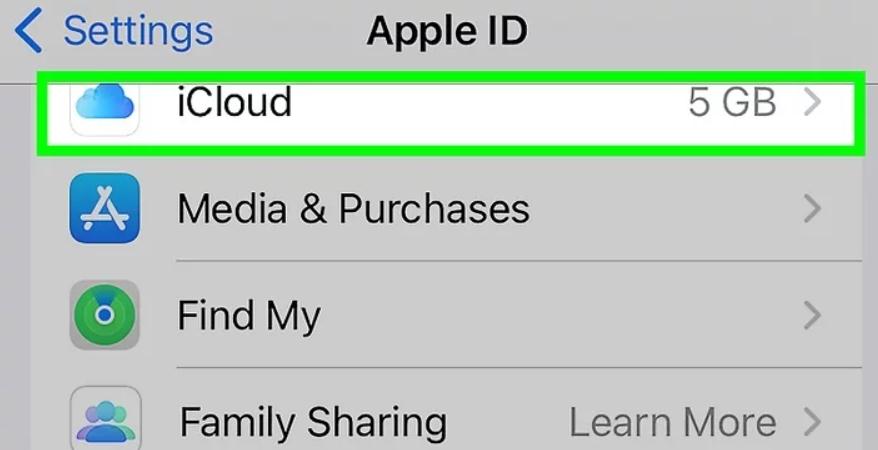 Select iCloud