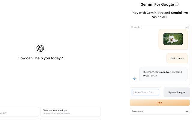 Gemini prompt