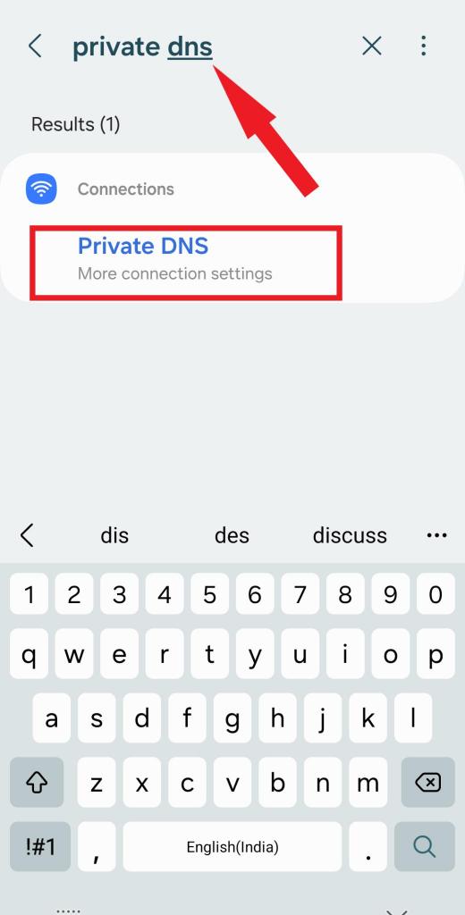 Private DNS option