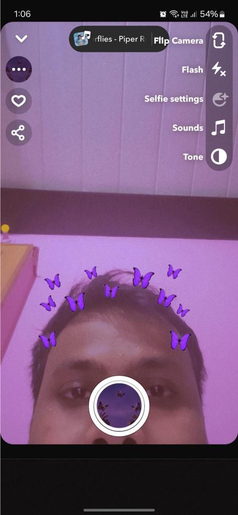 Butterflies Lens