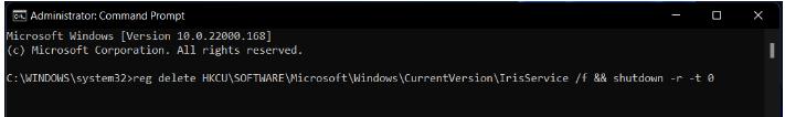windows cmd