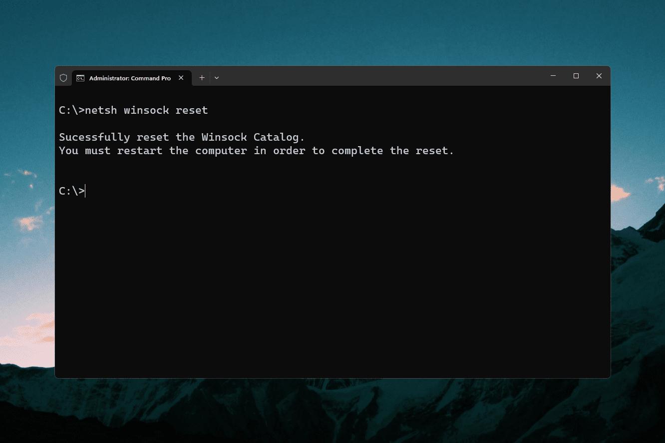 Reset the IP Address