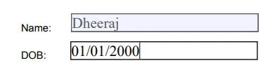 Text Field