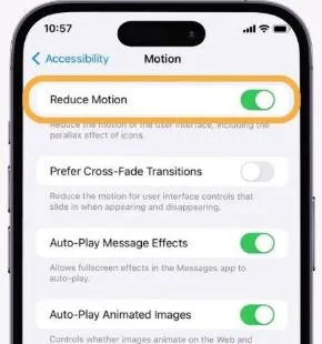 Reduce Motion