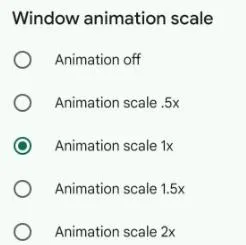 Window Animation Scale