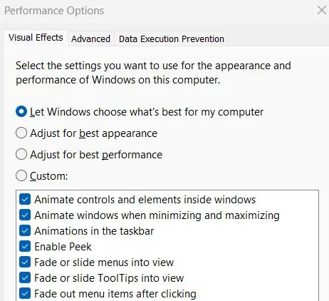 performance options